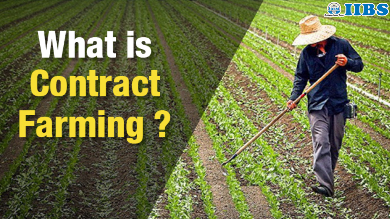 Contract Farming in India | MBA Finance in Bangalore