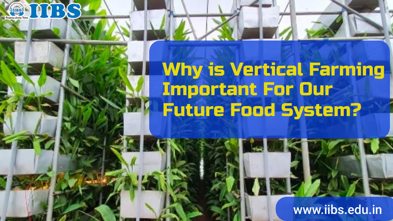 Why is Vertical Farming Important For Our Future Food System? | Top MBA Colleges in Bangalore