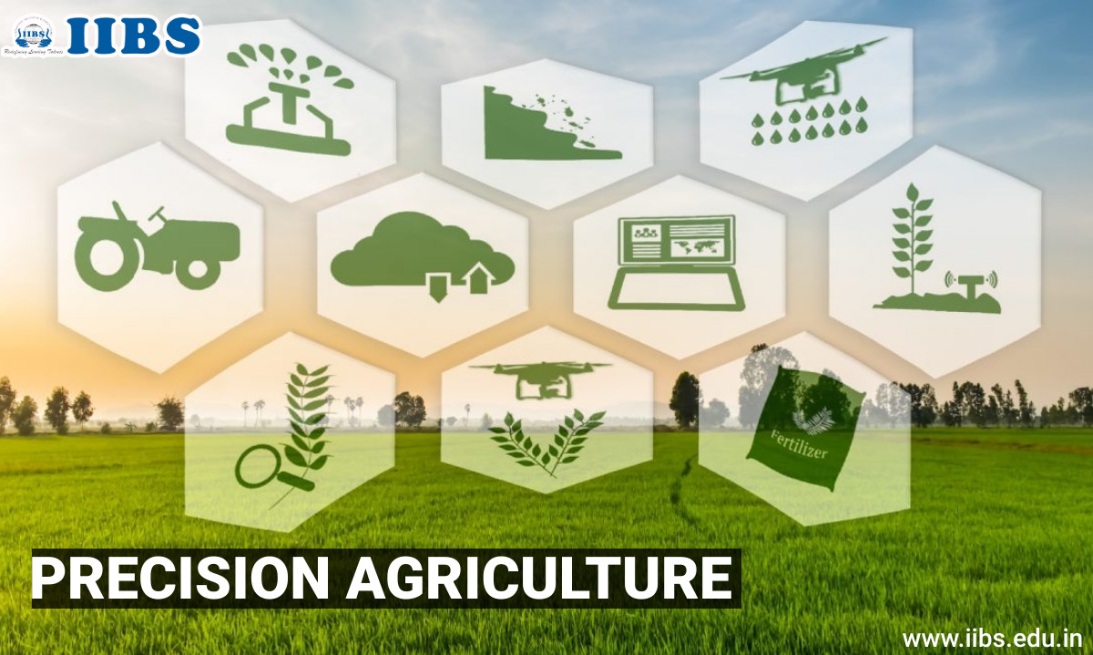 PRECISION AGRICULTURE | Best MBA Program in Bangalore