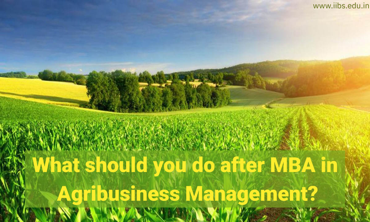 What should you do after MBA in Agribusiness Management?  |IIBS B-School Bangalore