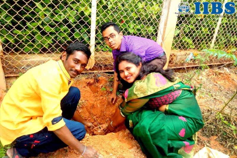 Sapling Plantation & Teachers Day Celebration - IIBS Bangalore
