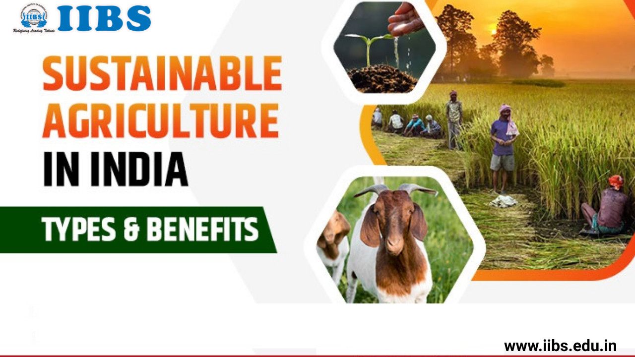 Integrate Farming System- An Eco-friendly Approach for Sustainable  Agriculture | Best MBA Colleges in Bangalore