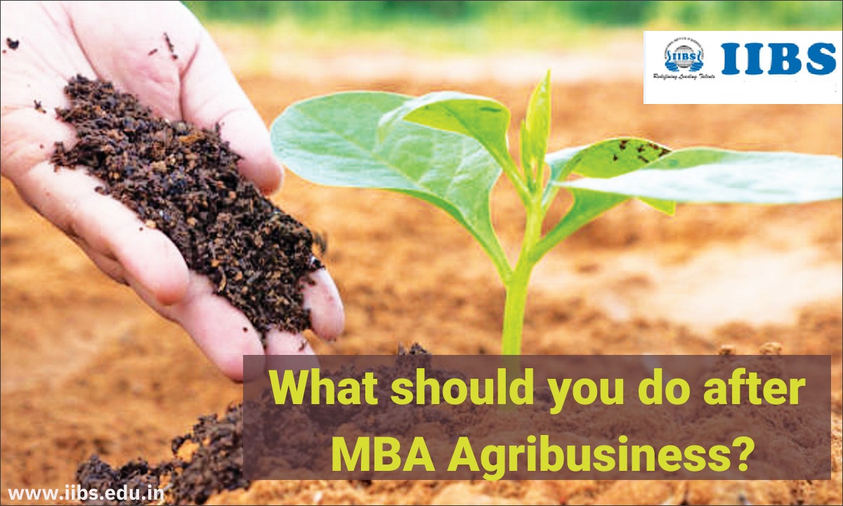 What should you do after MBA Agribusiness? | IIBS B-School Bangalore