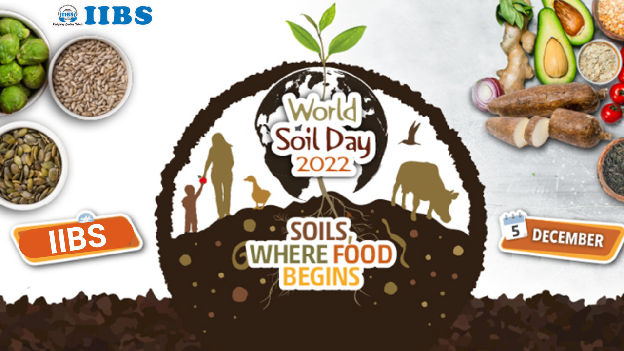 Why Celebrate Soil Day | MBA Admission 2022 in Bangalore