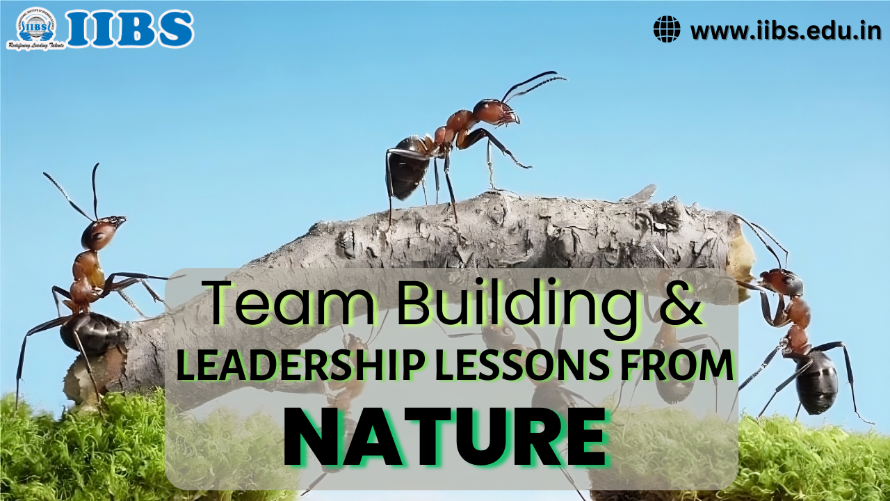 Team Building & Leadership Lessons from Nature