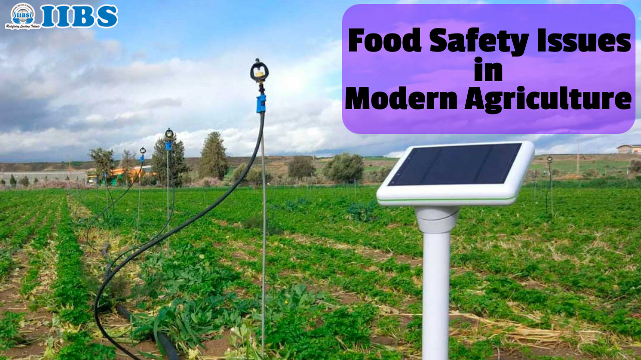 Food Safety Issues in Modern Agriculture | Top MBA Colleges in Bangalore