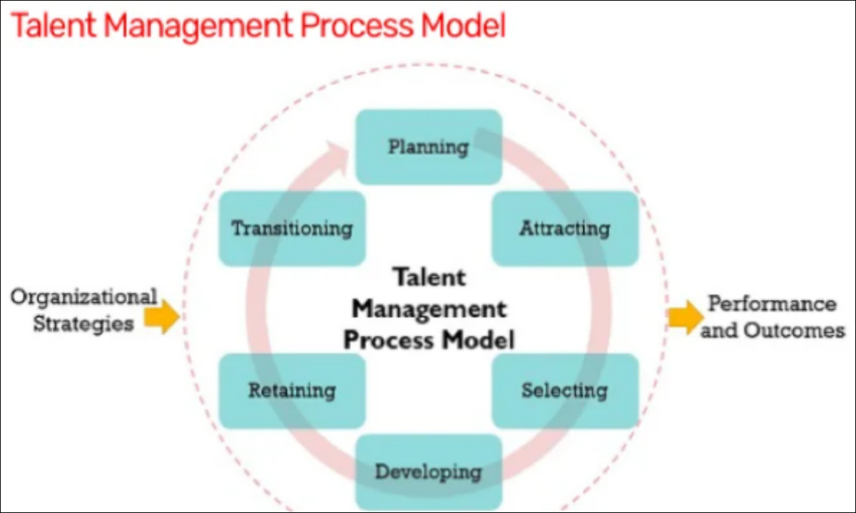 Tactics for Higher Education Talent Management Plans