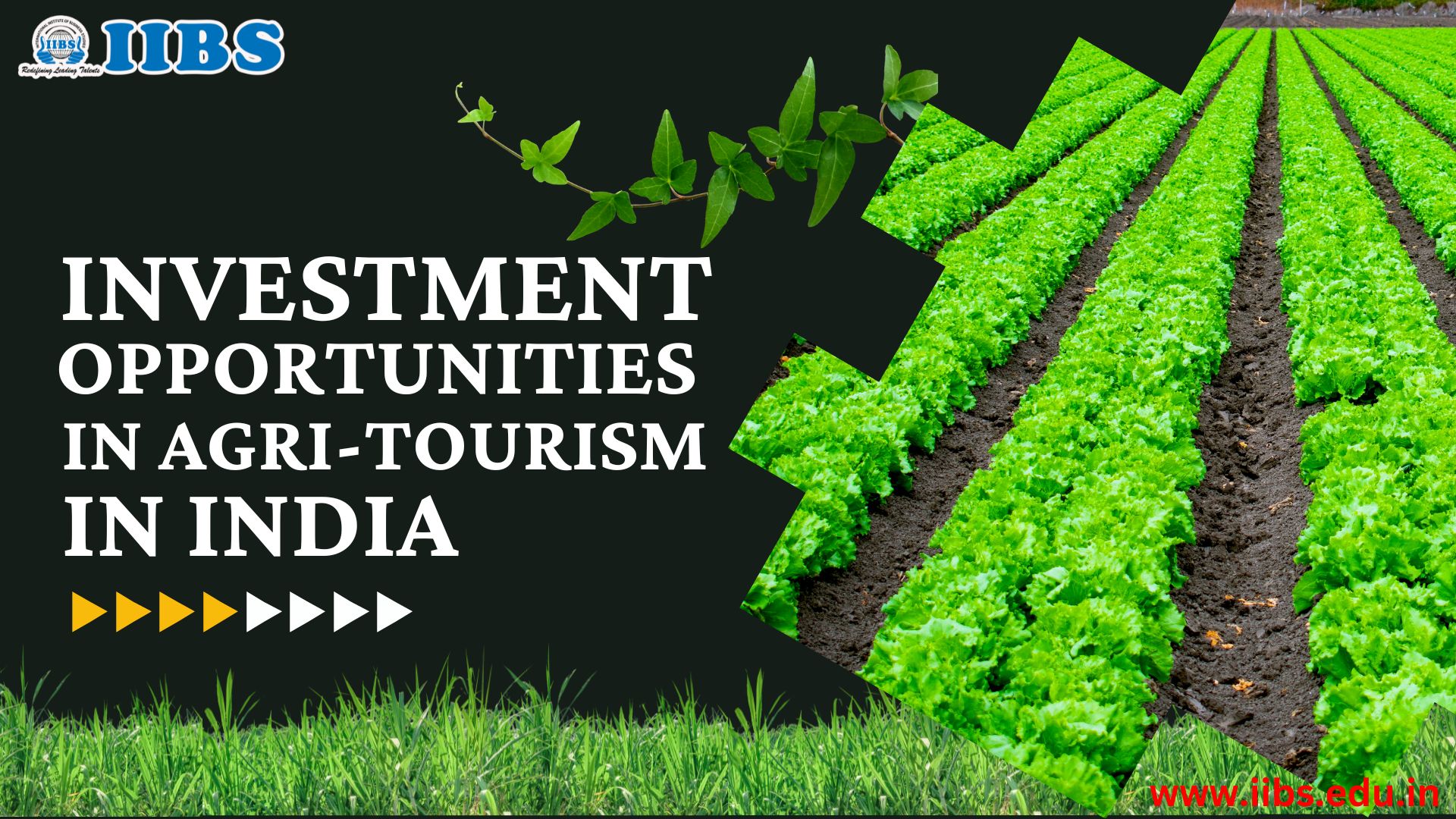 Investment Opportunities in Agri-tourism in India | A++ Rated MBA College in Bangalore