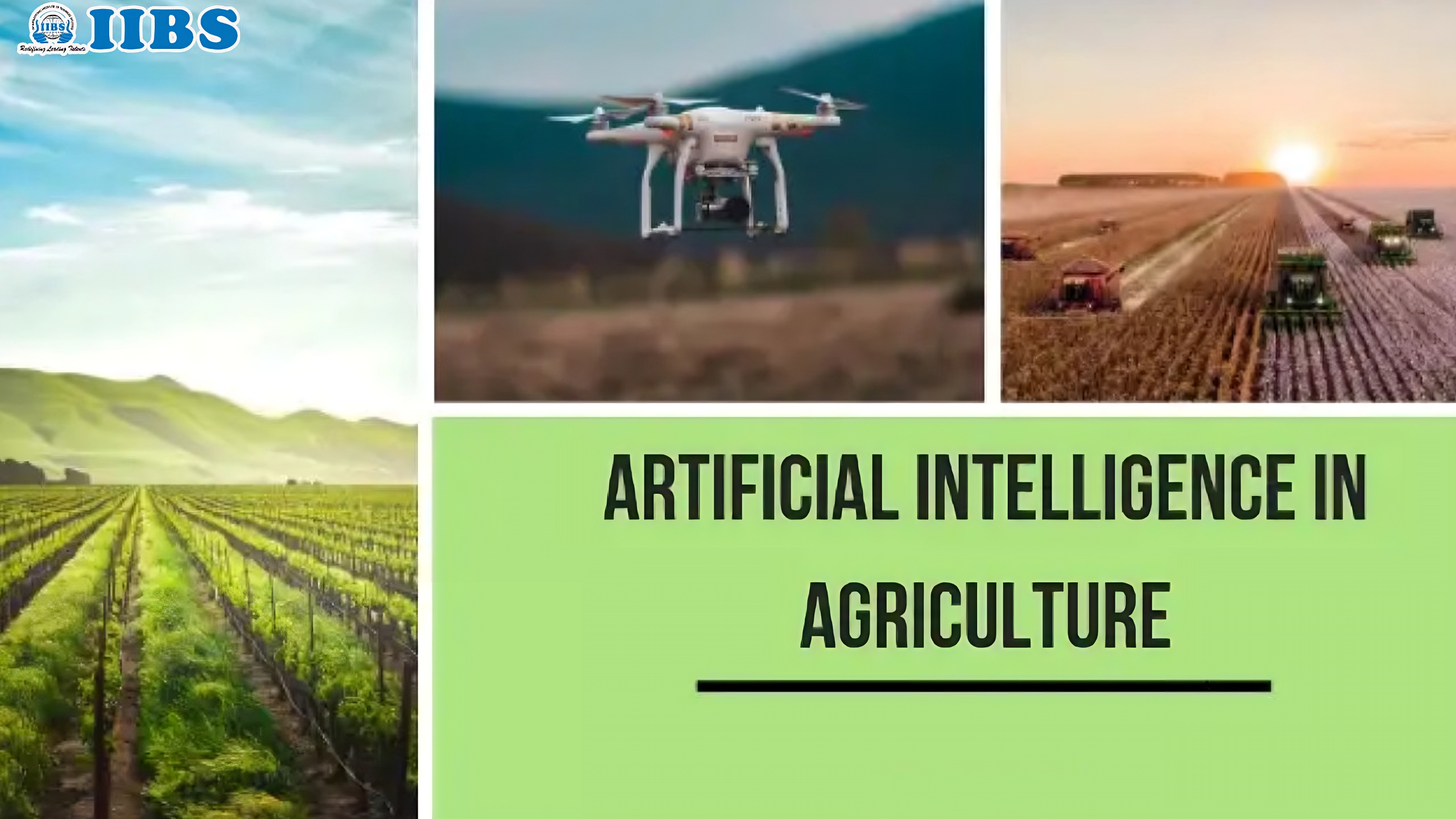 Role of Artificial Intelligence (AI) in Agriculture | MBA in Data Analytics in Bangalore