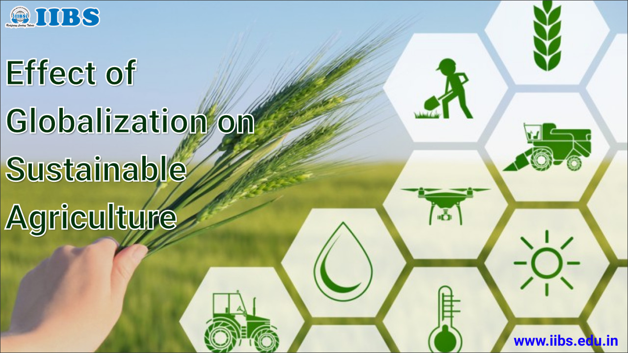 Effect of Globalization on Sustainable Agriculture | MBA Business Analytics Bangalore