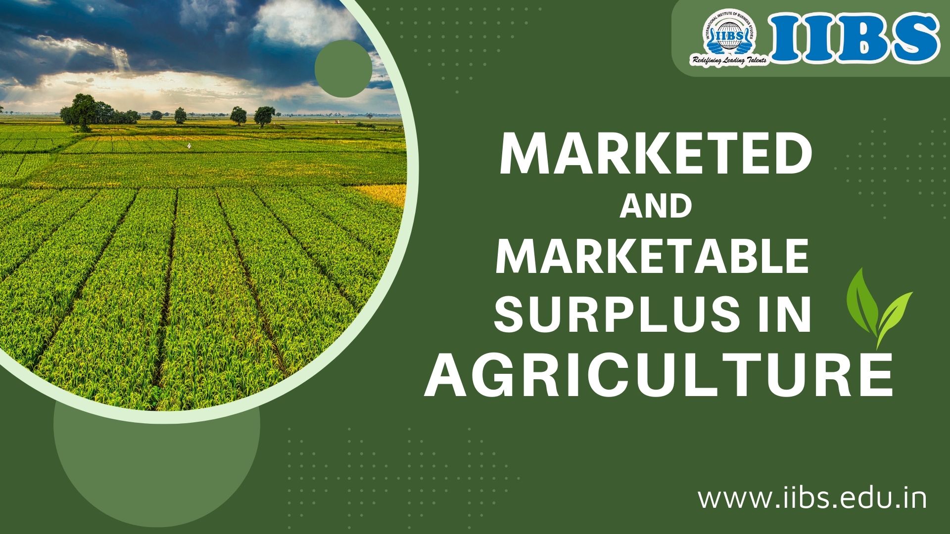 Marketed and Marketable Surplus in Agriculture