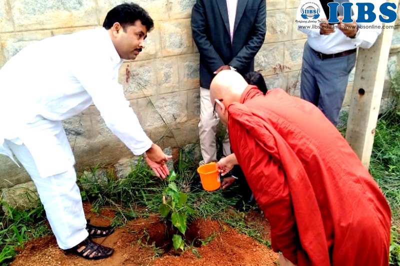 Tree Plantation on Independence Day at IIBS Bangalore